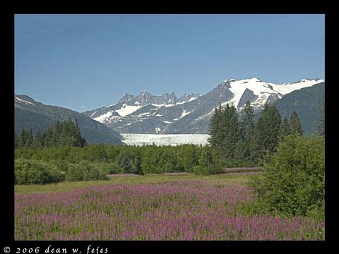 Alaska_Web_053