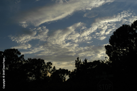 SkyScenes_05